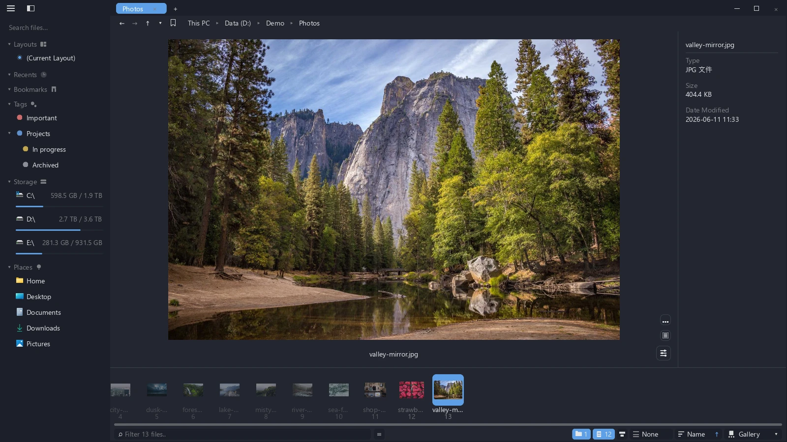 A photo previewed in the tessoa gallery view, large in the middle with zoom and rotate buttons at the bottom right