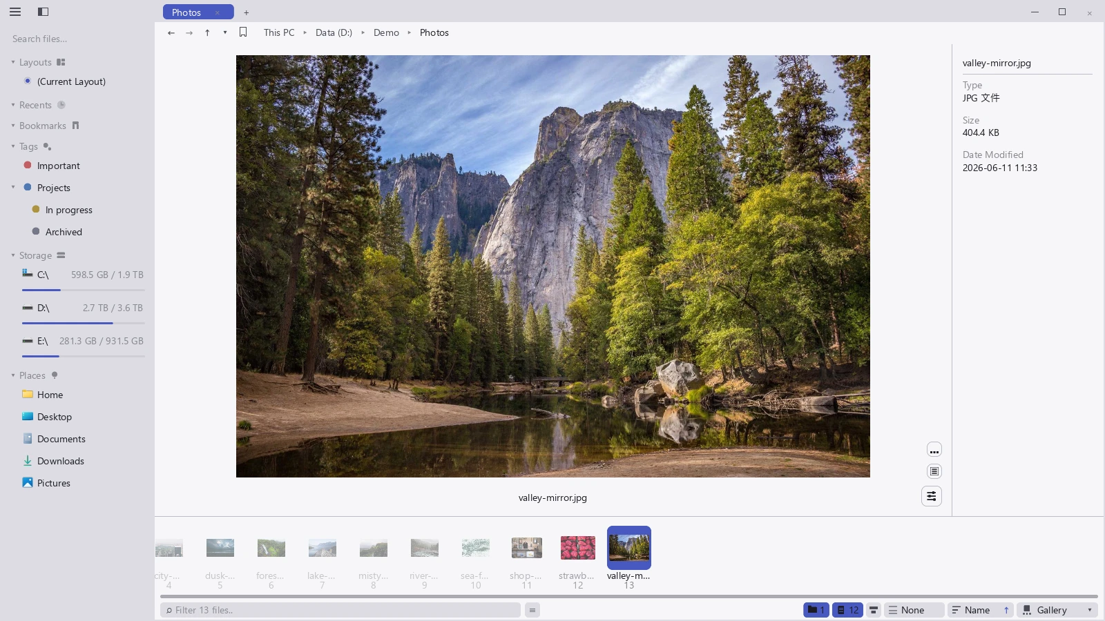 A photo previewed in the tessoa gallery view, large in the middle with zoom and rotate buttons at the bottom right