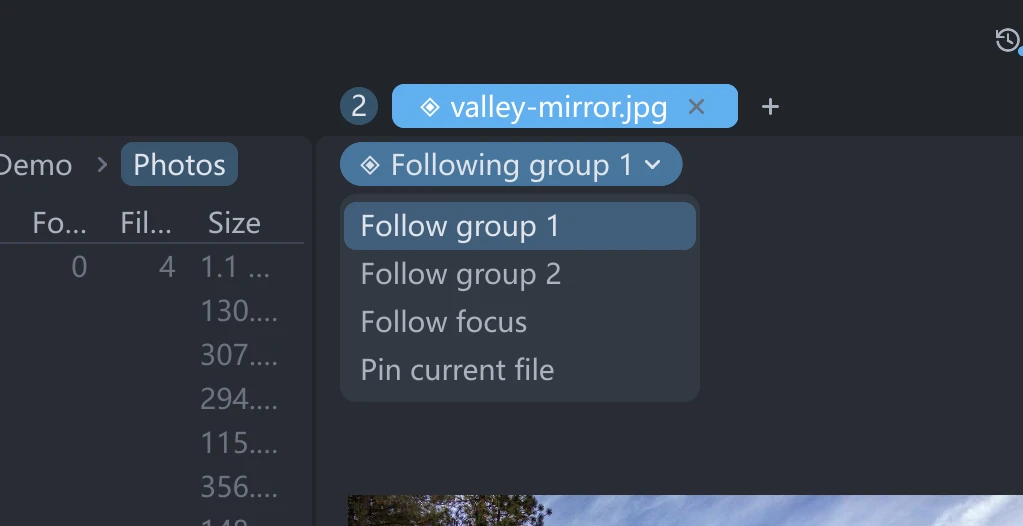 The nav bar of a preview tab: a single binding chip reading Following group 1, with the rebinding menu opened below it