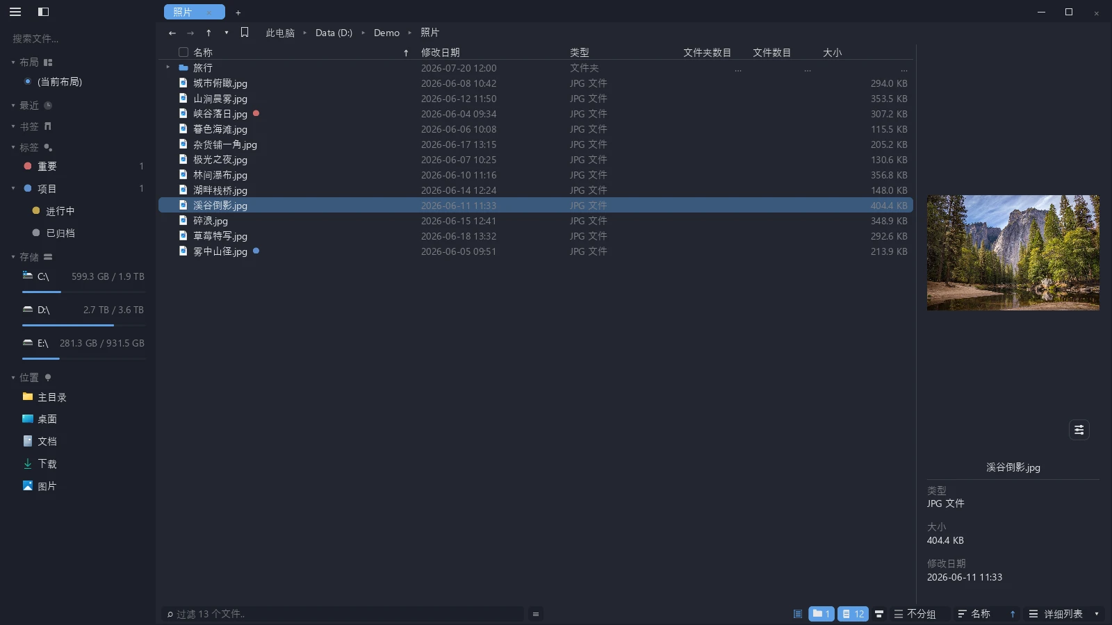 tessoa 详细列表视图右侧打开详情面板,面板里是选中图片的预览与文件信息